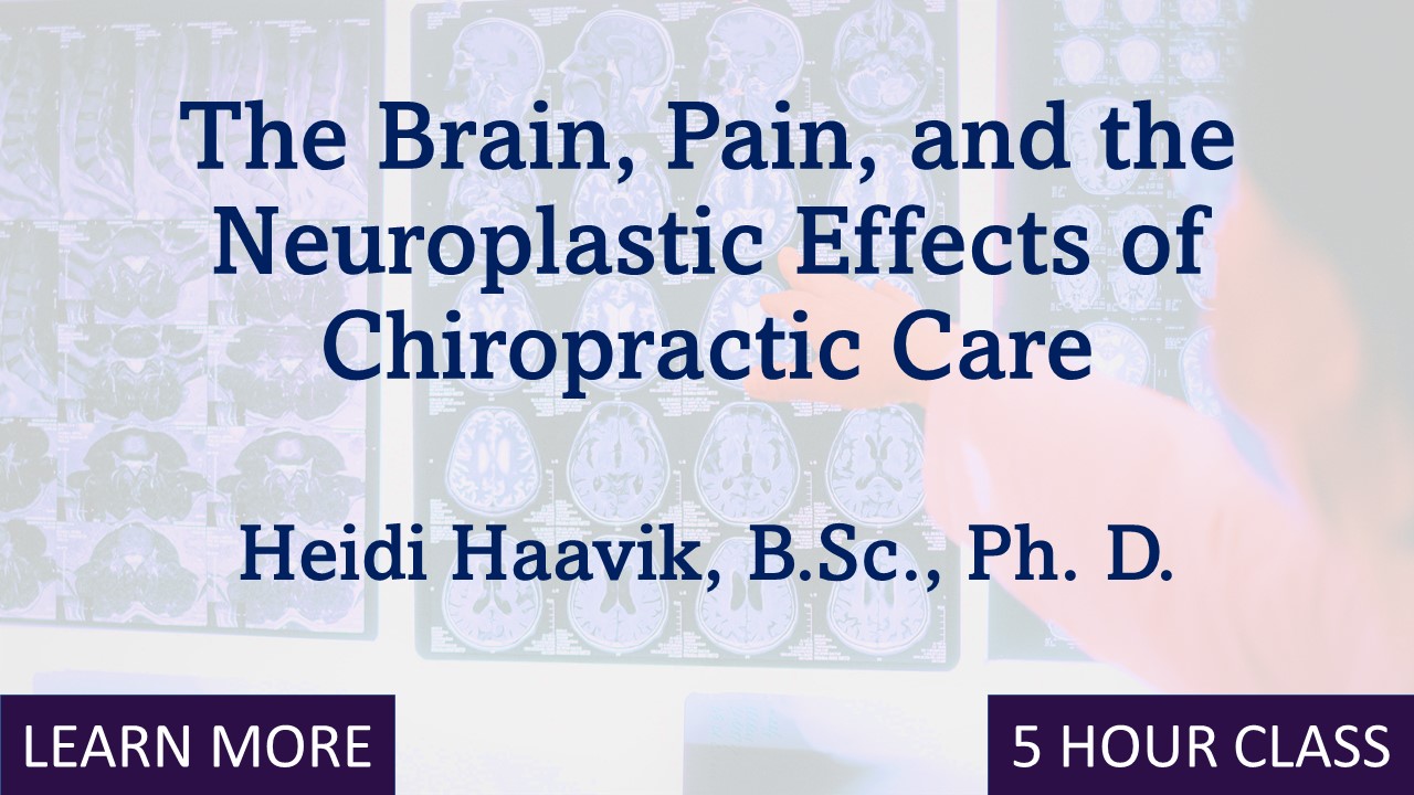 Palmer Online: The Brain, Pain, and the Neuroplastic Effects of Chiropractic Care 2024